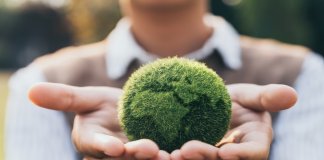 Studia podyplomowe Prawo ochrony środowiska