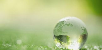 Prawo ochrony środowiska studia online