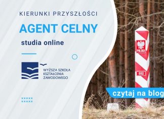 agent celny studia