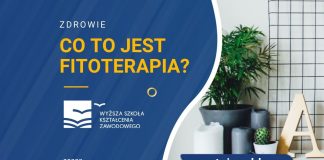 Co to jest fitoterapia?