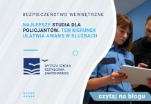 bezpieczeństwo wewnętrzne