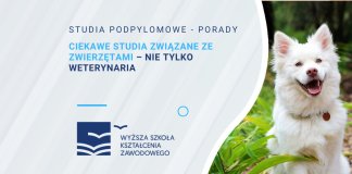studia zwiazane ze zwierzetami