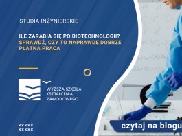 Ile zarabia się po biotechnologii Sprawdź, czy to naprawdę wysokopłatna praca