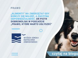 „Alimenty” na zwierzęta Gdy kończy się miłość, a zaczyna odpowiedzialność. dr Piotr Dobrowolski w podcaście „Prawo, które warto usłyszeć”