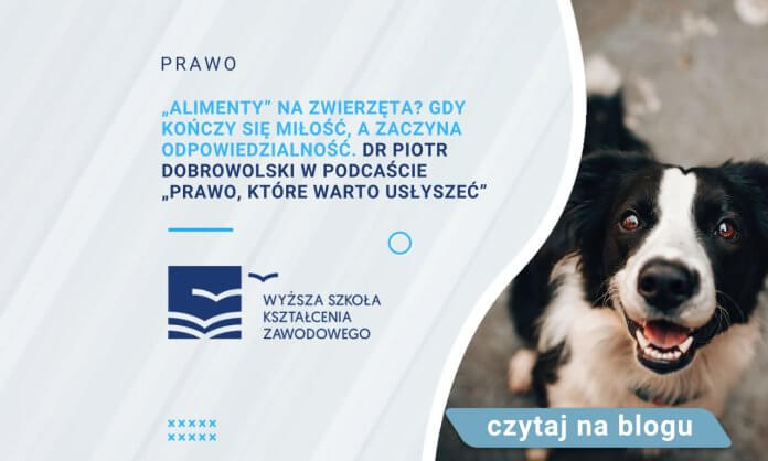 „Alimenty” na zwierzęta Gdy kończy się miłość, a zaczyna odpowiedzialność. dr Piotr Dobrowolski w podcaście „Prawo, które warto usłyszeć”