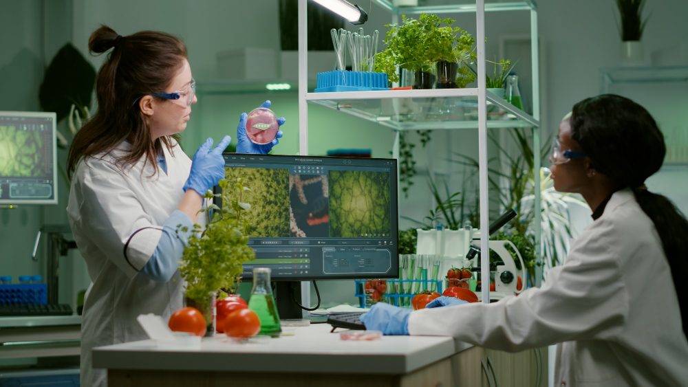 Biologia systemów – co to i jak wyglądają studia