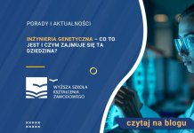 Inżynieria genetyczna – co to jest i czym zajmuje się ta dziedzina