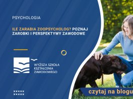 Ile zarabia zoopsycholog? Poznaj zarobki i perspektywy zawodowe