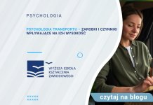 Psychologia transportu – zarobki i czynniki wpływające na ich wysokość