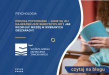 Podział psychologii – jakie są jej najważniejsze subdyscypliny i jak rozwijać wiedzę w wybranych obszarach?