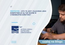 Pentester – kto to jest i dlaczego jego kompetencje są tak ważne w cyberbezpieczeństwie? Pentester – kto to jest i dlaczego jego kompetencje są tak ważne w cyberbezpieczeństwie?